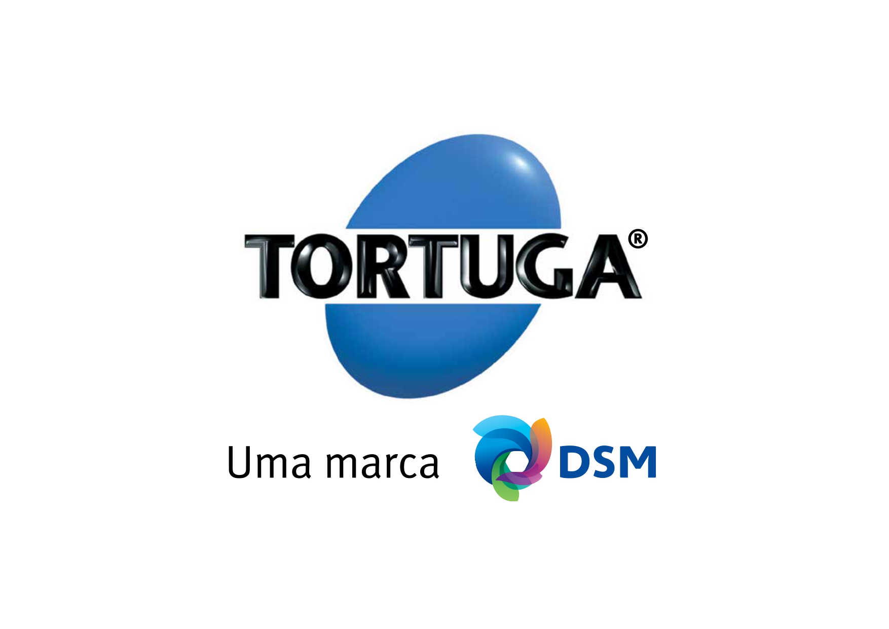 DSM Tortuga