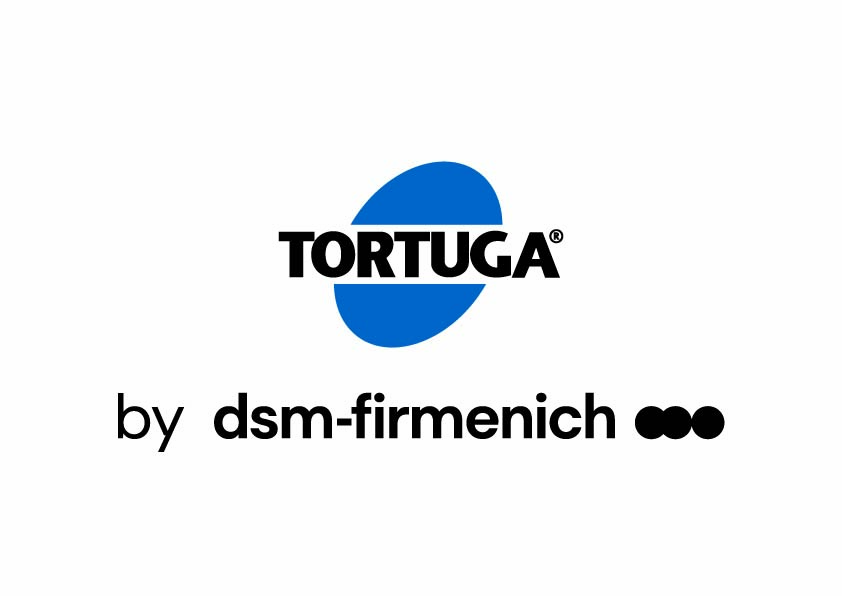 DSM TORTUGA