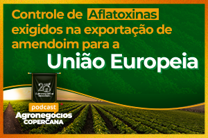 Controle de Aflatoxinas exigido na exportação de amendoim para a União Europeia