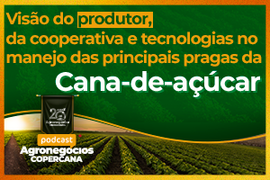 Visão do produtor, cooperativa e tecnologias no manejo das principais pragas da cana-de-açúcar