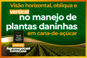 Visão horizontal, obliqua e vertical no manejo de plantas daninhas em cana-de-açúcar