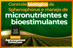 Controle biológico de Sphenophorus e manejo de micronutrientes e bioestimulantes
