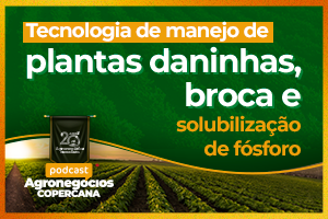 Tecnologia de manejo de plantas daninhas, broca e solubilização de fósforo
