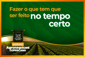 Fazer o que tem que ser feito no tempo certo